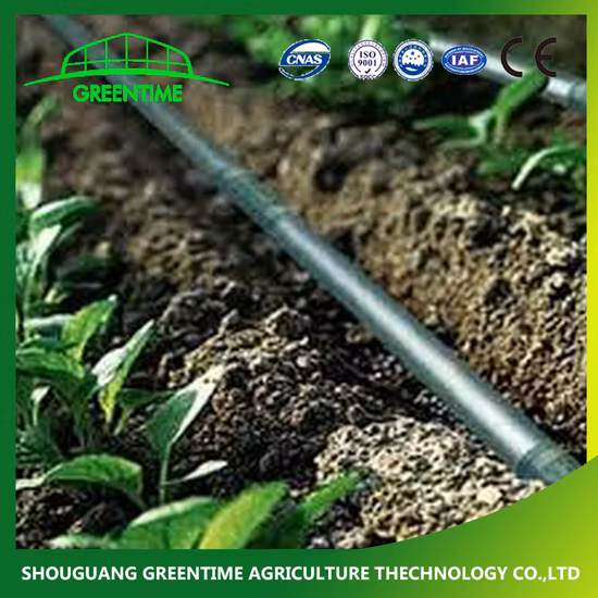 Tubo de riego por goteo integrado de material LDPE de 12 mm, 16 mm, 20 mm al por mayor con gotero redondo